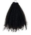 Afro cCoily